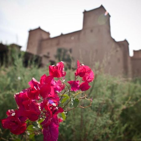 Kasbah Ait Ben Moro Hotell Skoura Exteriör bild